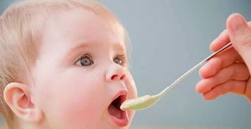 宝宝不爱喝奶粉的原因及解决方法