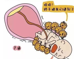 世界肝炎日 乙肝妈妈如何生下健康宝宝 这些 肝 货常识一起get