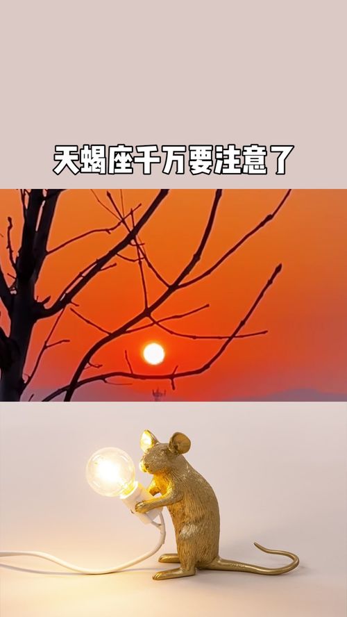 春节前天蝎座座千万要注意了 