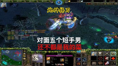 DotA OMG 炮神操刀,冰龙 射手天赋拍拍熊,看我打路人它不香吗 