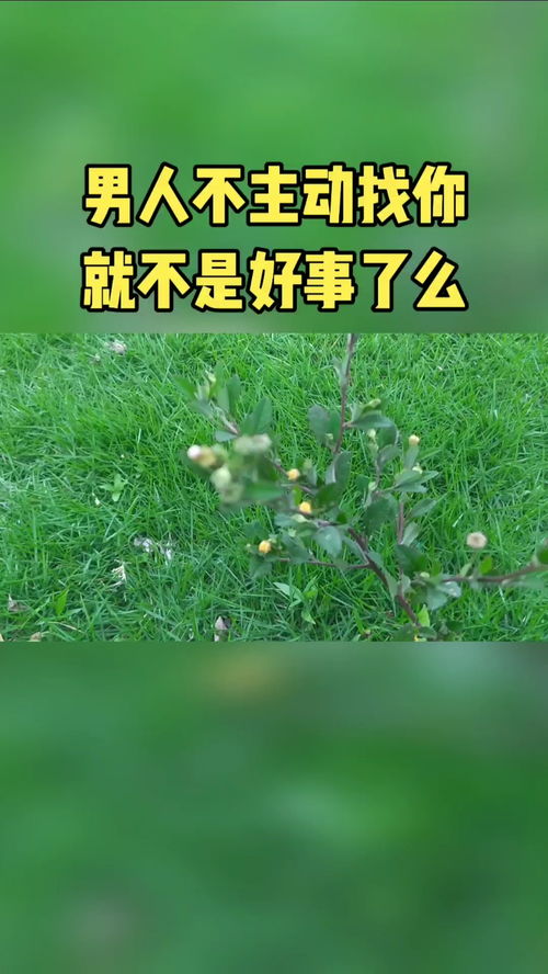 感情修复期经过哪几个阶段