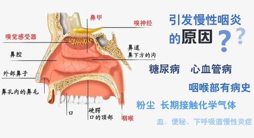 喉咙里感觉有痰怎么回事(喉咙里面感觉有痰怎么回事)