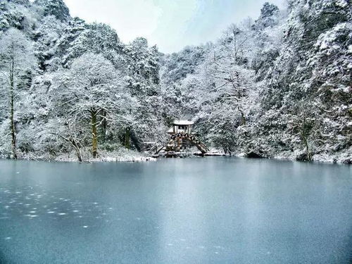 成都冷门的赏雪景点,至今还未大规模开发,是冬季旅游的好去处