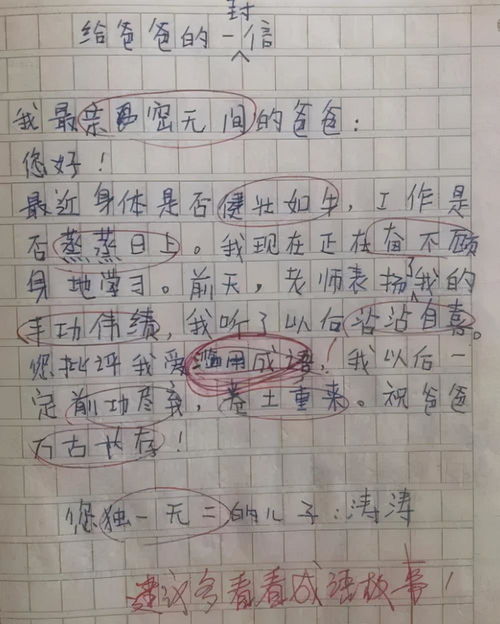 作文大全300字初中