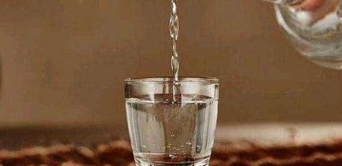 白开水不能用塑料瓶喝 哪几个时间段喝水最有效 都说清楚了