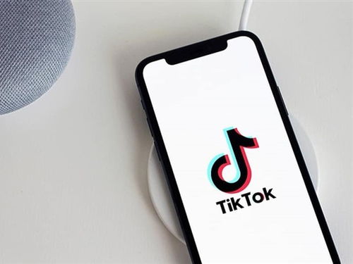 tiktok的选品_Tiktok企业广告账户如何开户