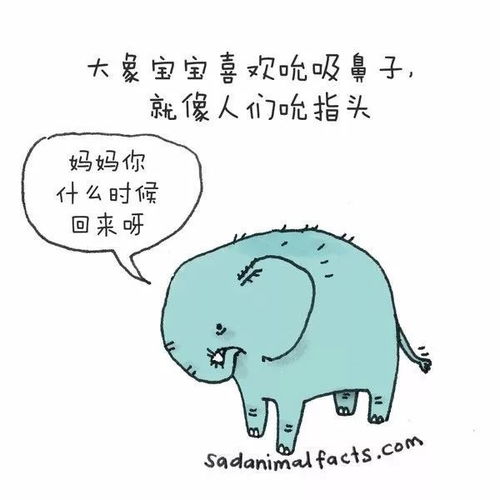 牛的冷知识(牛的冷门知识)