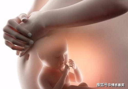 原创女性怀孕后，为什么有的孕妈肚子大，有的孕妈却不显怀？不妨一看