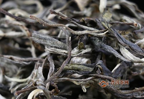 普洱茶散茶生普工艺,散装普洱茶是什么茶生和熟