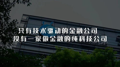 翟师说 金融激荡30年 深度洞察金融的 奥秘