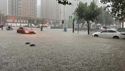 郑州暴雨是 天灾 还是 人祸 534亿海绵城市VS千年一遇大暴雨