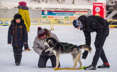 俄举行狗拉雪橇比赛迎狗年,参赛狗狗既矫健又蠢萌 