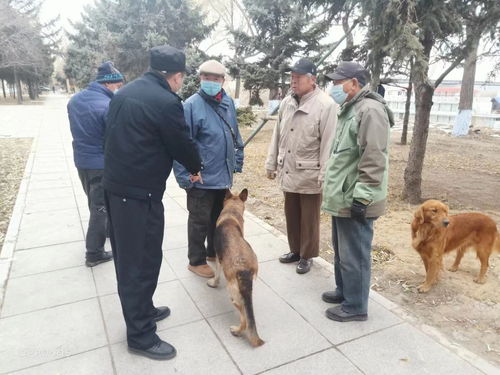 哈尔滨民警依法留检处理违规犬类 规范城市文明养犬