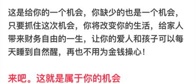 如果我做一些灰色的项目亏了100万，我该怎么办。