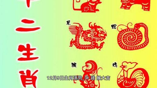 12属相今日运势(2023年的生肖运势大全)