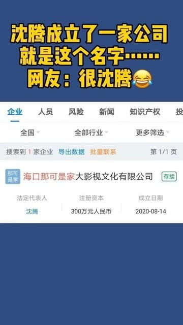 沈腾创办公司名字亮了,网友 这很沈腾 