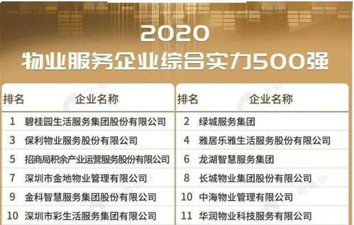 碧桂园服务高开逾11%，中期核心净利持平，计划回购最多3.37亿股