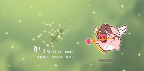 陶白白星座分析射手座本周