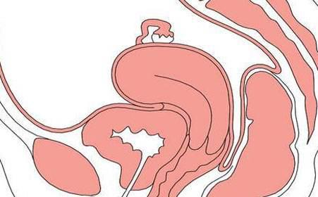 生殖器疱疹感染日益升高,孕妇如何面对