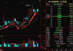 600096后市如何`