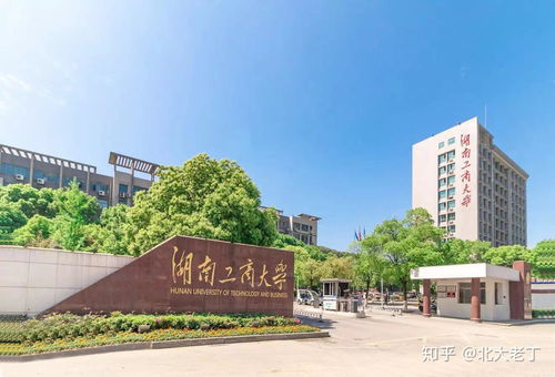 湘潭大学自考财务专业代码,湘潭大学自考本科有哪些专业(图3)