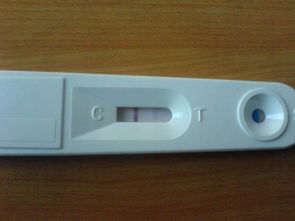 首次备孕就测出双杠,孕前准备很重要 