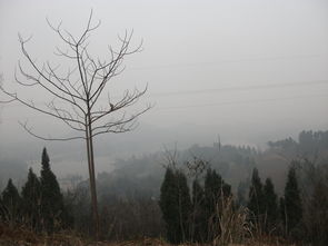 好的风水宝地有什么特别的地方