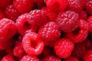 树莓好吃吗什么味道,口感怎么样,树莓甜度是多少