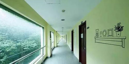 美国梦沃学校 上海 教室走廊