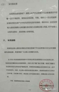 银湖网最新消息 33个月分期兑付本金处理债权