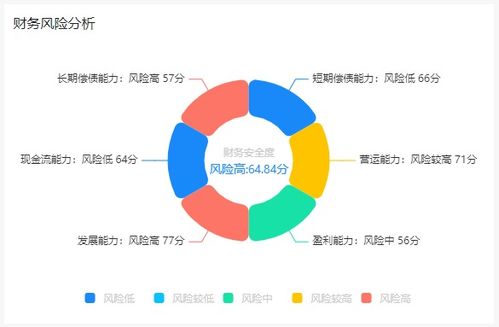 财务风险分析概述？