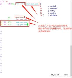 Linuc网络服务之DNS域名解析服务 DNS正向解析 反向解析和主从同步 可跟做...