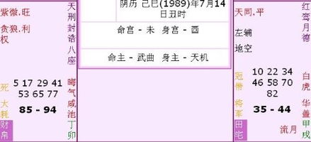 谁能帮我解释一下我的紫薇命盘 