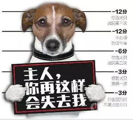 你的小狗狗有 身份证 吗 无证养犬要没收,还要罚款1000元