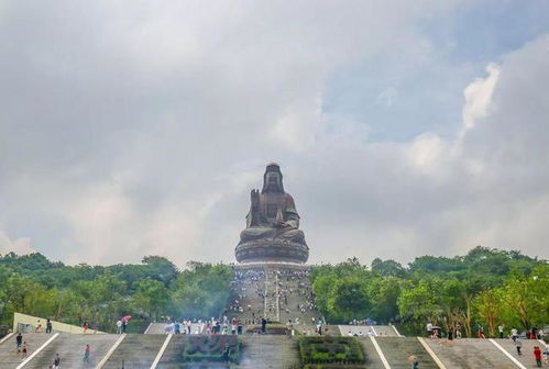 鸡鸣寺的樱花开了是什么意思?