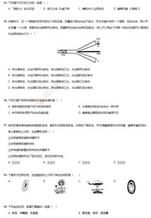 2019 2020年北京十一学校初二上学期生物期末试卷及答案