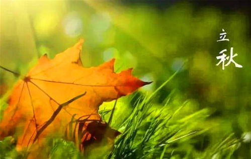 今年什么时候立秋 立秋什么时候到来？秋老虎具体是几天呢？ 