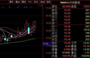 筹码最近集不集中哪个地方可以查到