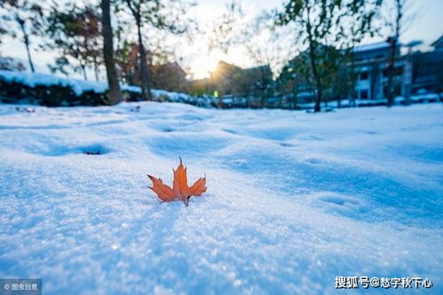 10首写雪的诗,10种不同风格 看看古人如何写 春雪 唐代 