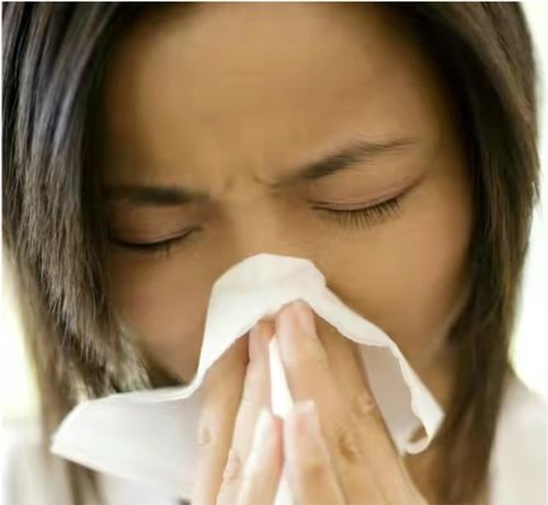 过敏性鼻炎有什么危害