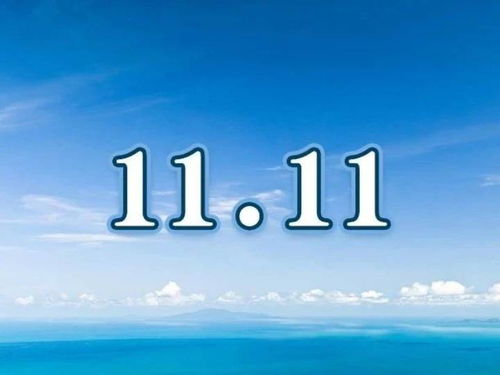 11月11日