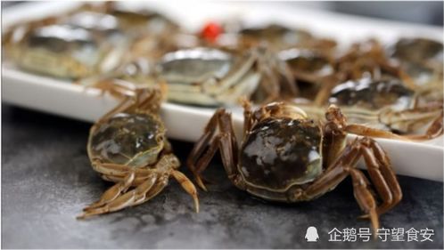 原创丨又到一年吃蟹季 螃蟹死了还能吃吗
