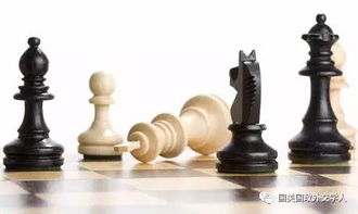 国际象棋理论(国际象棋理论家)