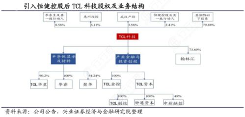 tcl下属公司股权结构