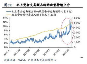 A股有R 代表什么呢