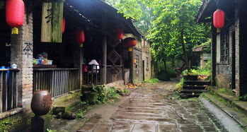 重庆春节一日游去哪里好玩(金刚碑温泉酒店免费停车场)