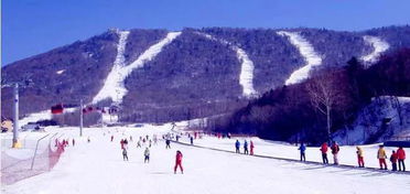 西安滑雪场的太白山滑雪场(太白山滑雪场有没有免费的停车场)