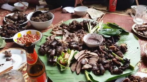 今天夏至玉林狗肉节,看看越南人吃狗肉做法有什么不同,挺多样的 