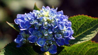 春风对桃花日，春风什么日子