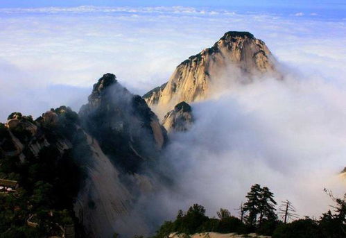中国的三山五岳中,五岳大家都知道,三山你知道是哪三座山吗